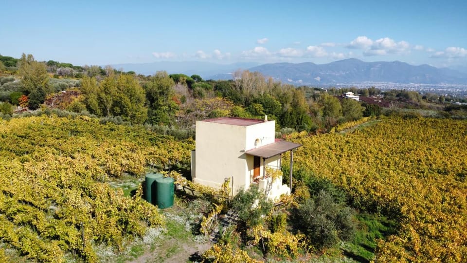 Property building, Bird's eye view, View (from property/room), Photo of the whole room, Mountain view