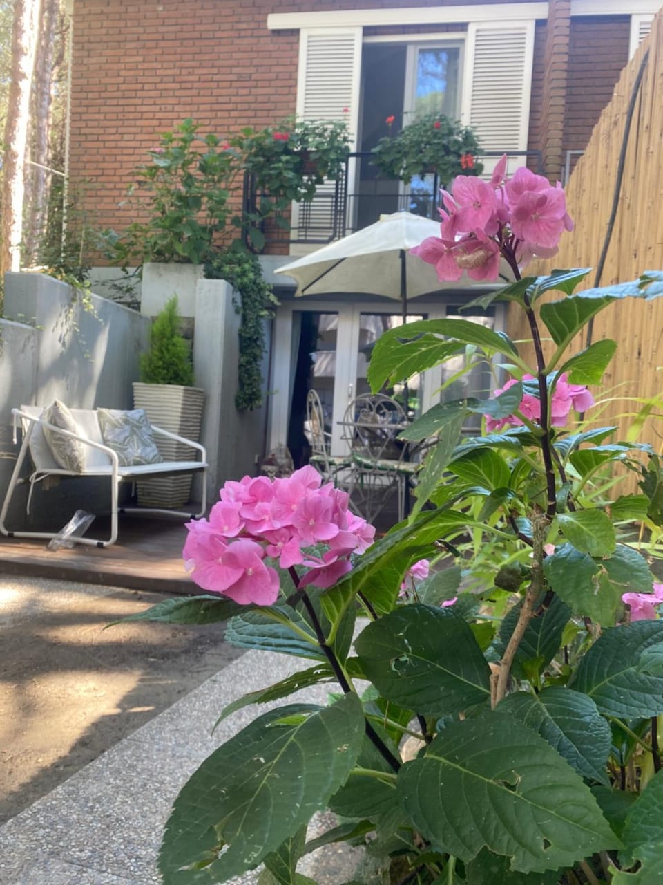 A casa di Rachele Apartment in Marina Romea