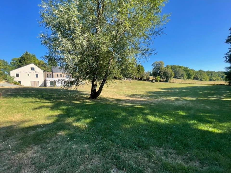 Property building, Garden, Garden view, Parking
