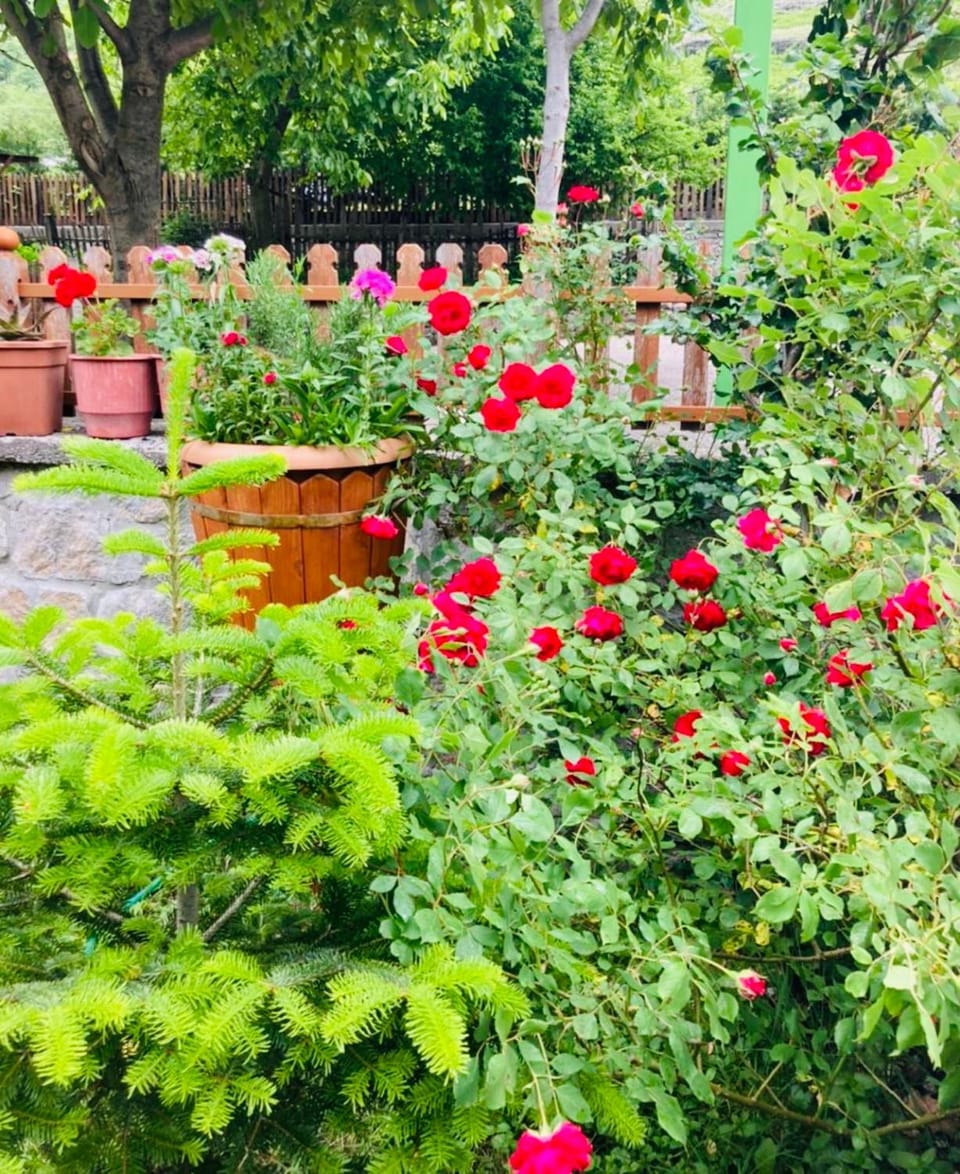 Spring