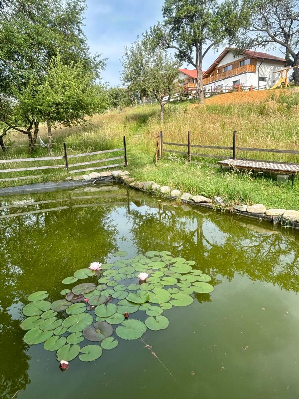Natural landscape, Garden, Garden view, Lake view