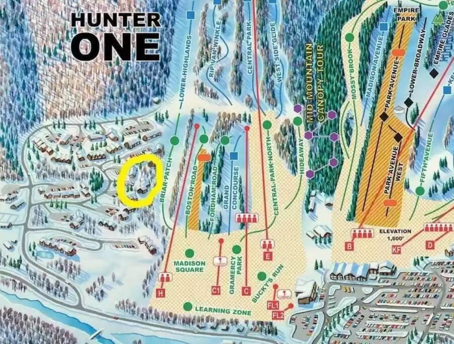 Ski School, Ski School, Skiing, Skiing, Parking