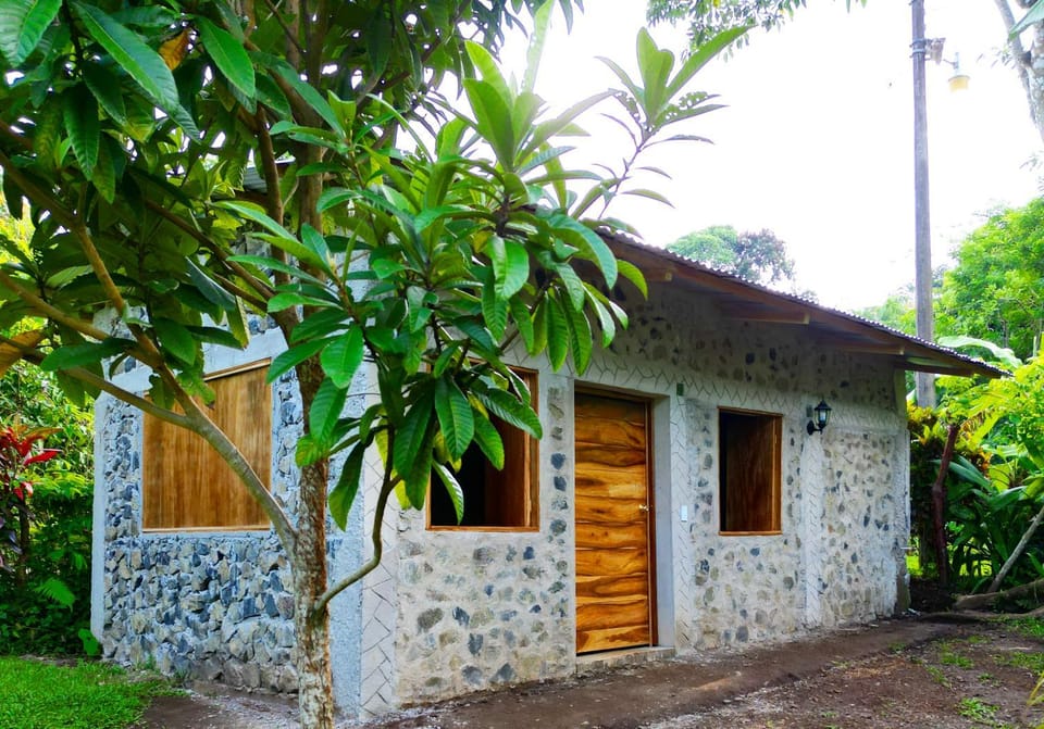 Property building, Spring, Other, Garden view