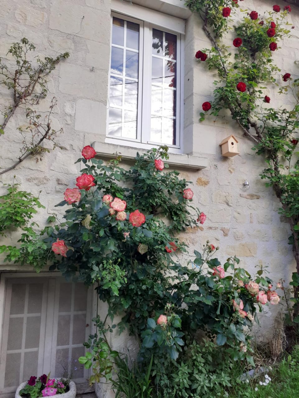 Esprit Troglo House in Centre-Val de Loire