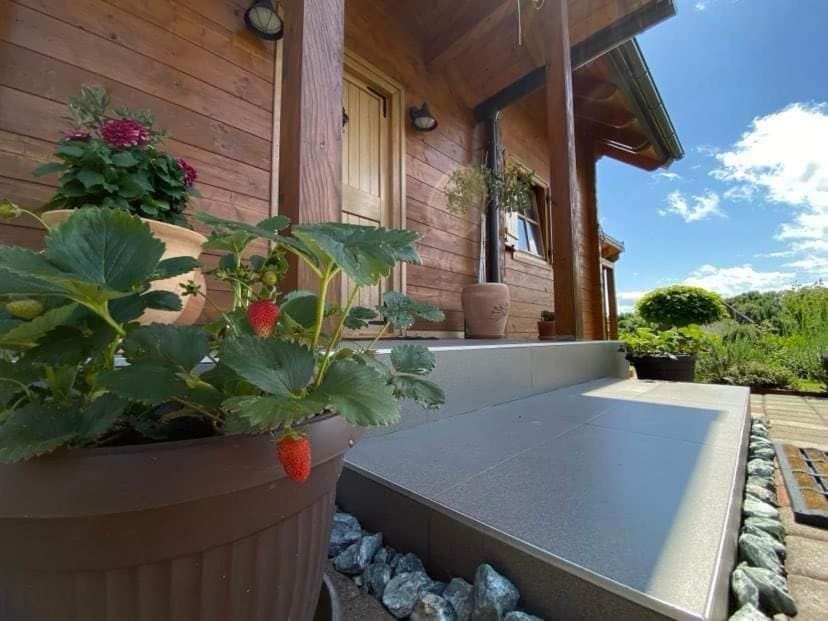Drvena kuća Marta House in Croatia