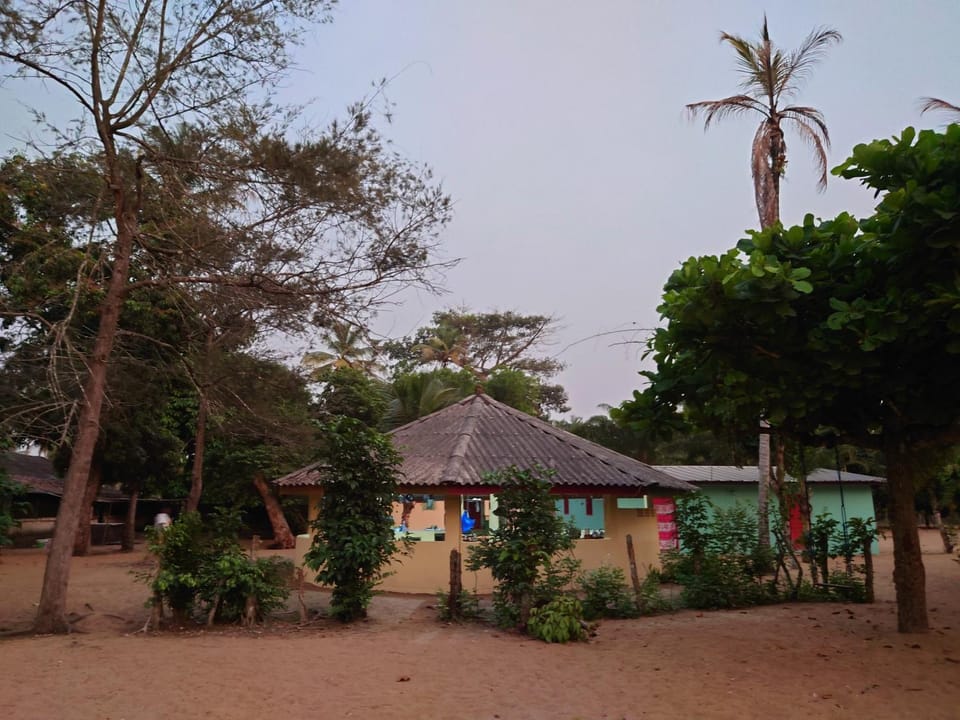 Communal kitchen, Garden view, kitchen