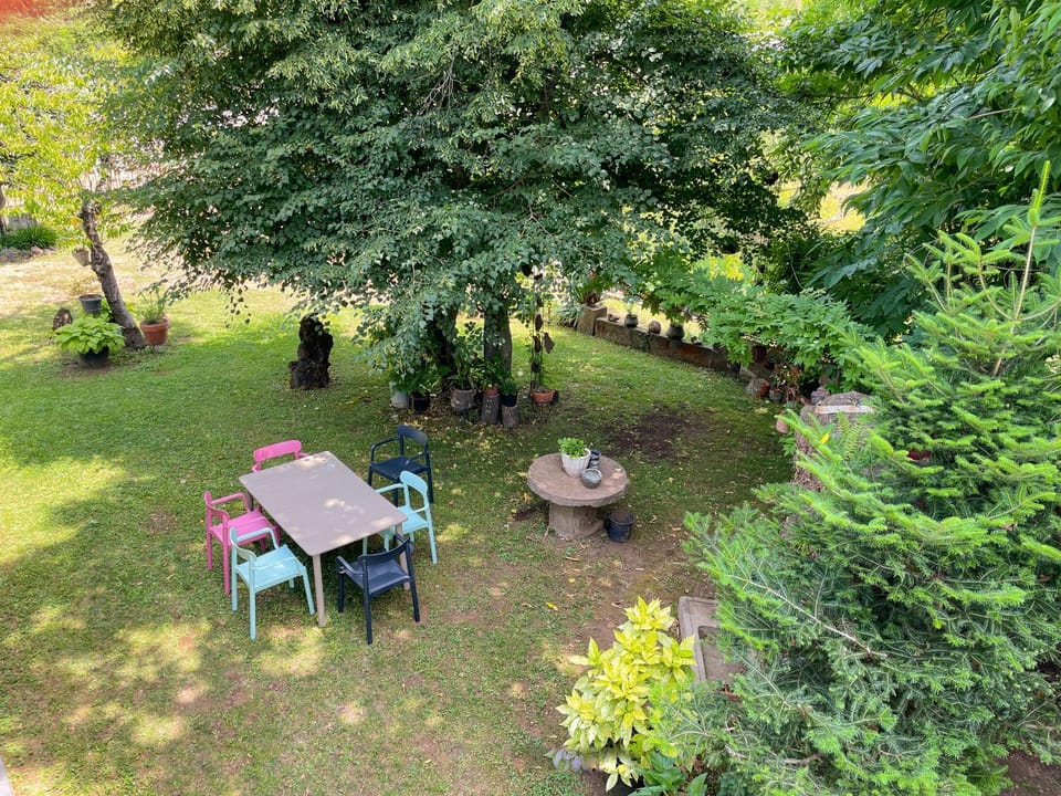 Patio, Garden, Garden view