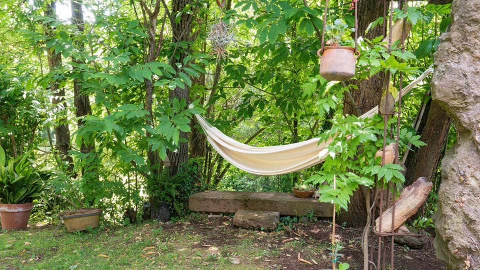 Patio, Garden, Garden view