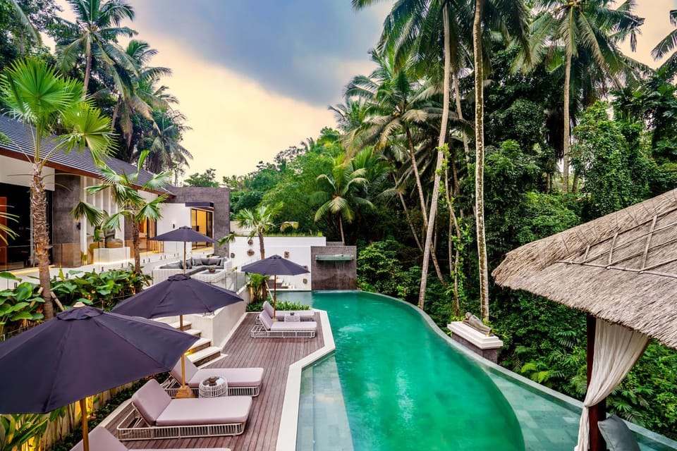 Patio, Garden, Garden view, Pool view, Swimming pool, sunbed