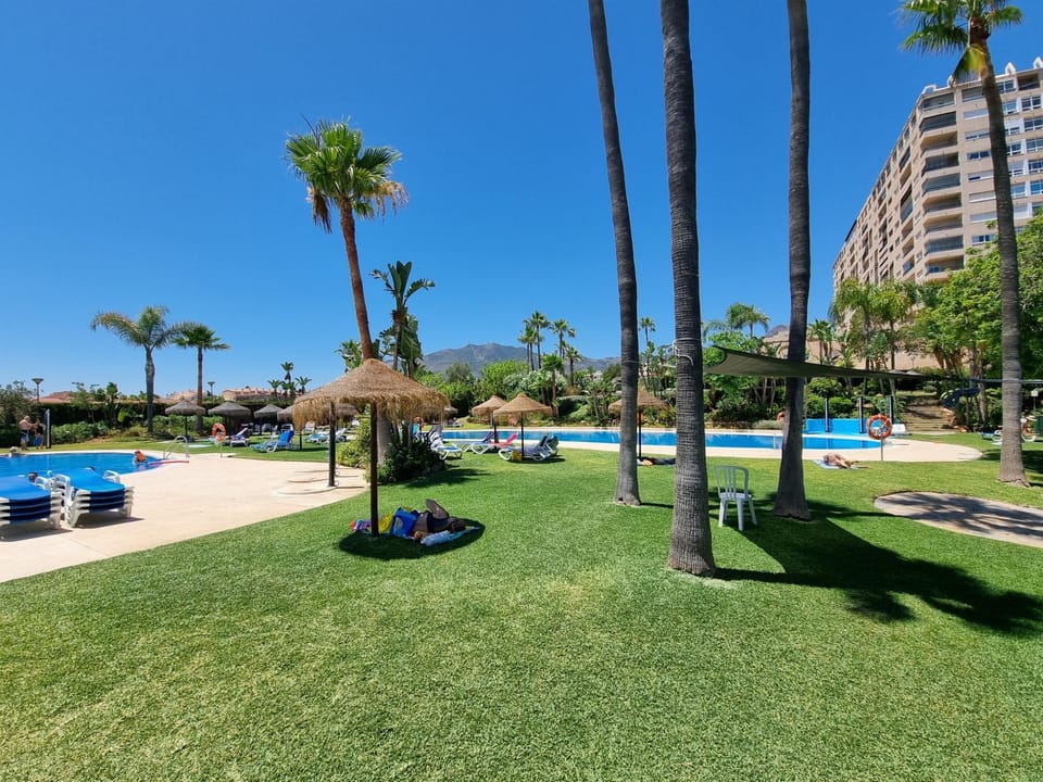 Day, Natural landscape, Garden, Garden view, Pool view, Swimming pool, sunbed