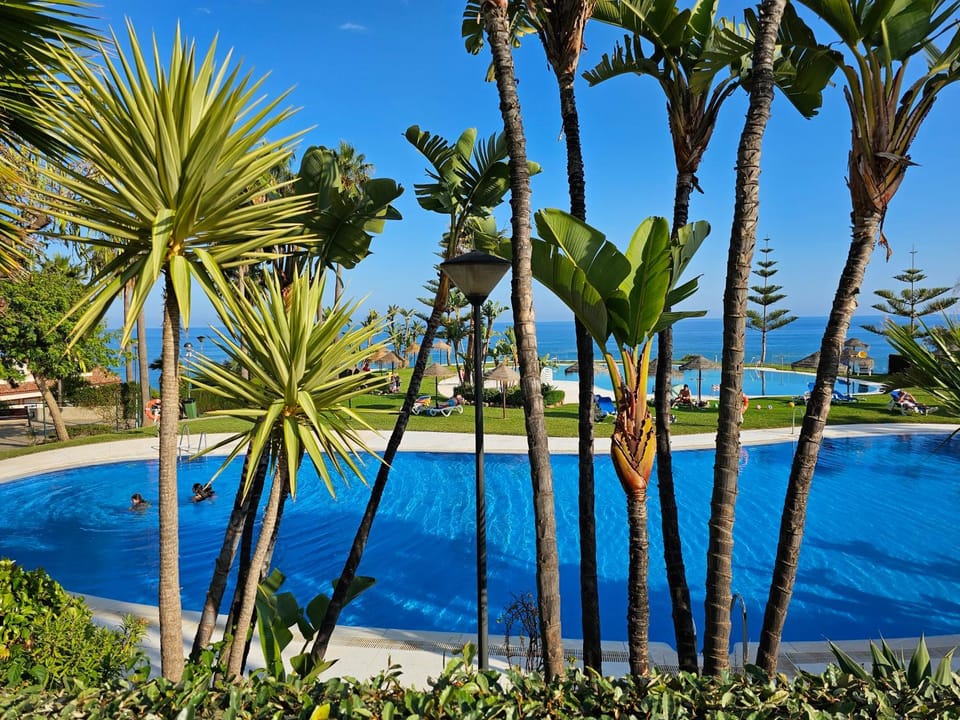 Day, Natural landscape, Garden, Garden view, Pool view, Sea view, Swimming pool, Swimming pool