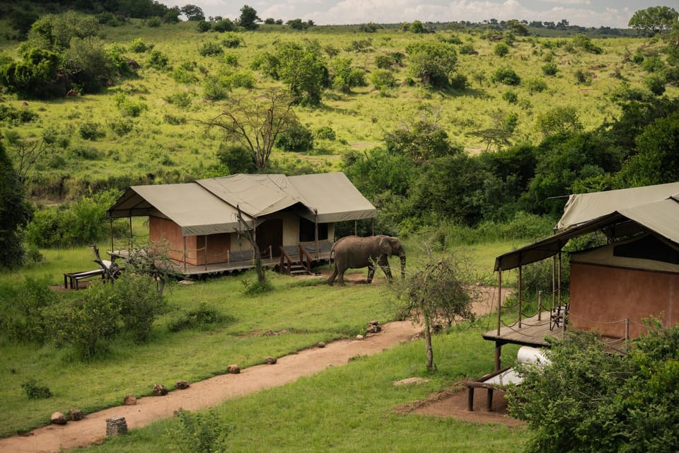 Property building, Natural landscape