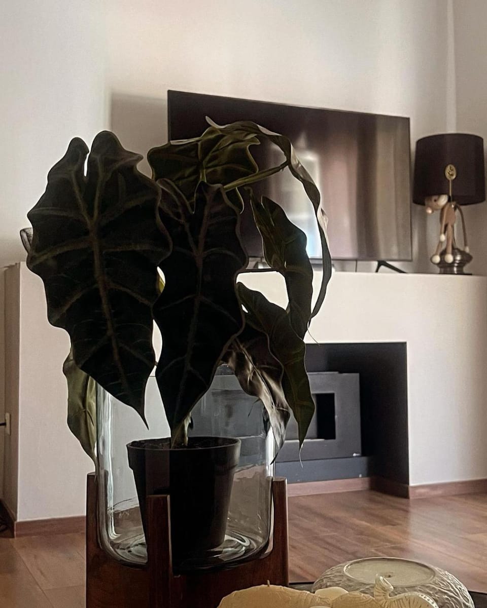 Sea View Residence by MD Apartment in Alexandroupoli