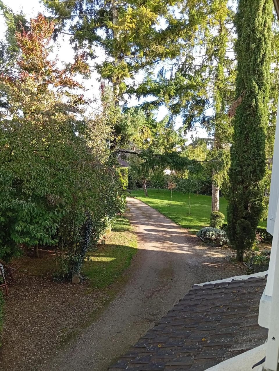 Natural landscape, View (from property/room), Garden view