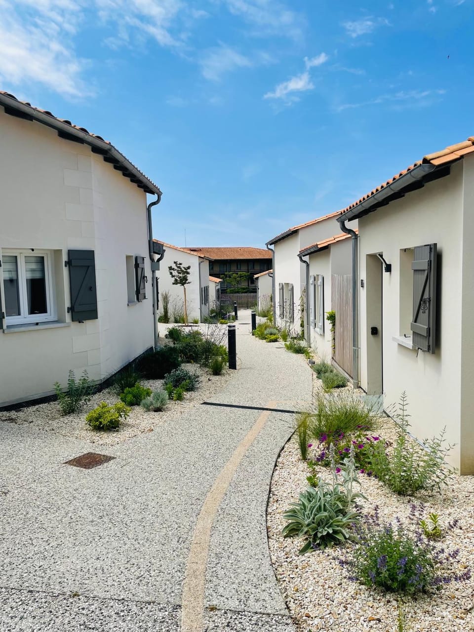 Property building, Area and facilities