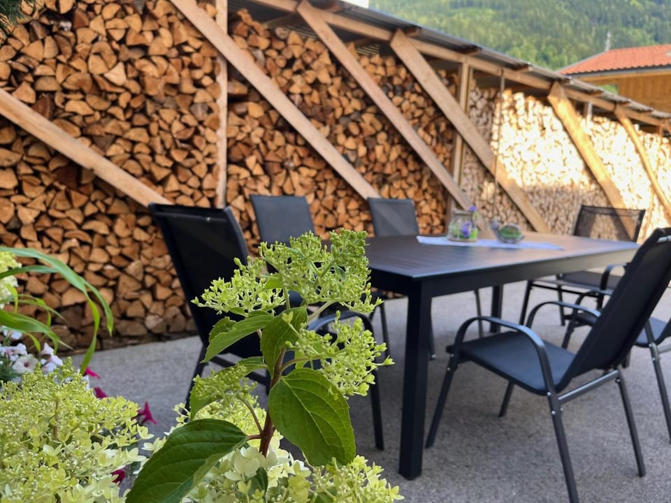 Apart Steffi Apartment in Tyrol