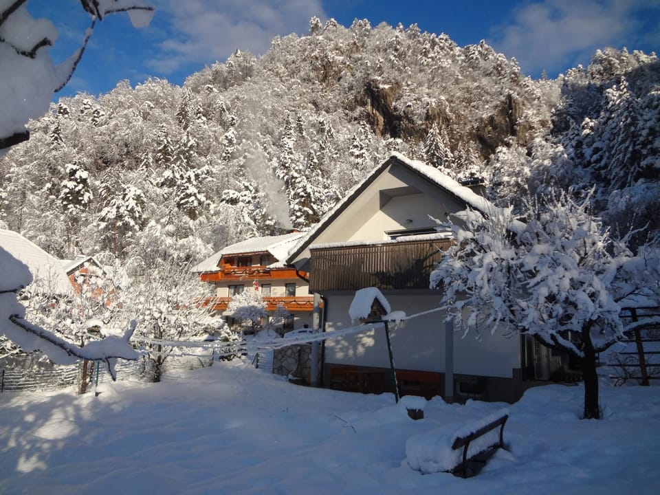 Property building, Winter