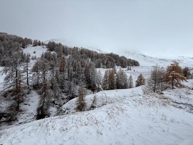 Résidences de Mélisa La Foux d'Allos Apartment in Allos
