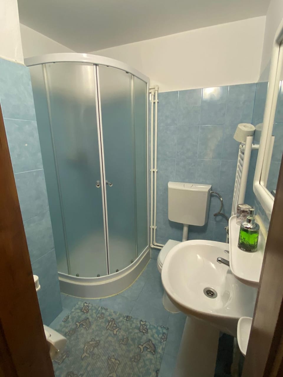 Pensiunea Simina Bed and Breakfast in Romania