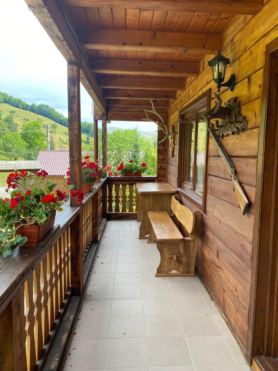 Pensiunea Simina Bed and Breakfast in Romania