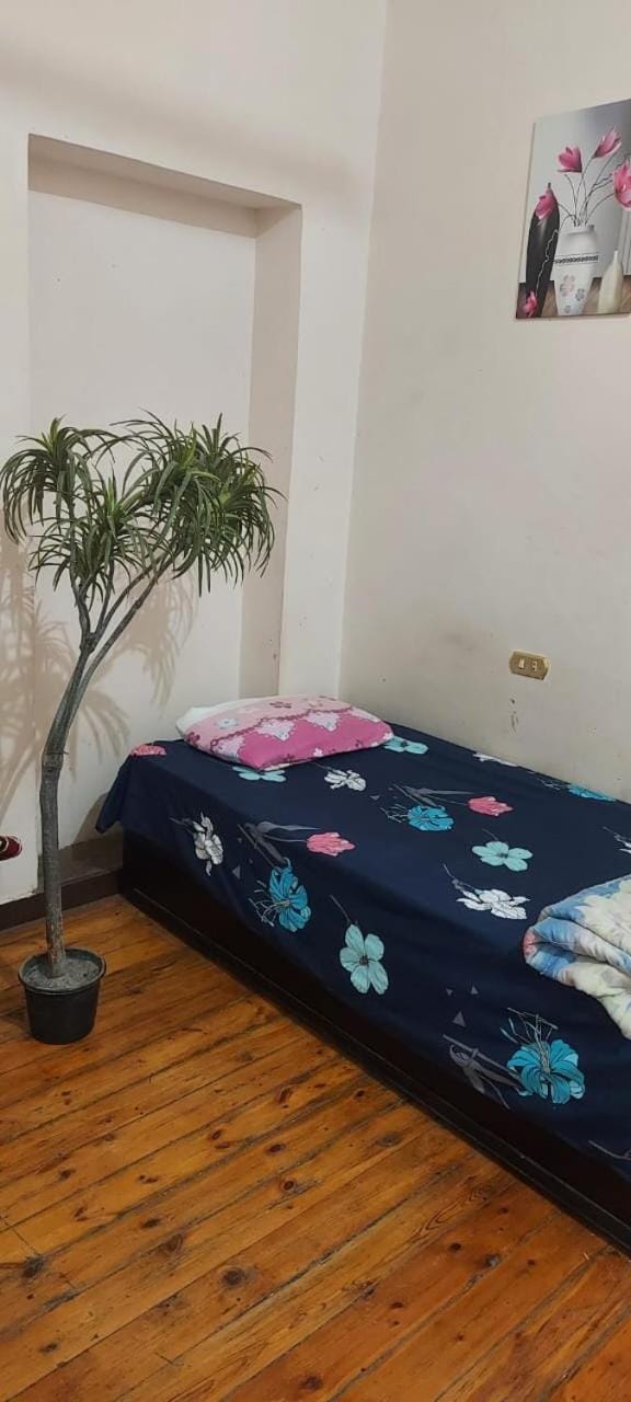 New Safari Hostel Hostel in Cairo