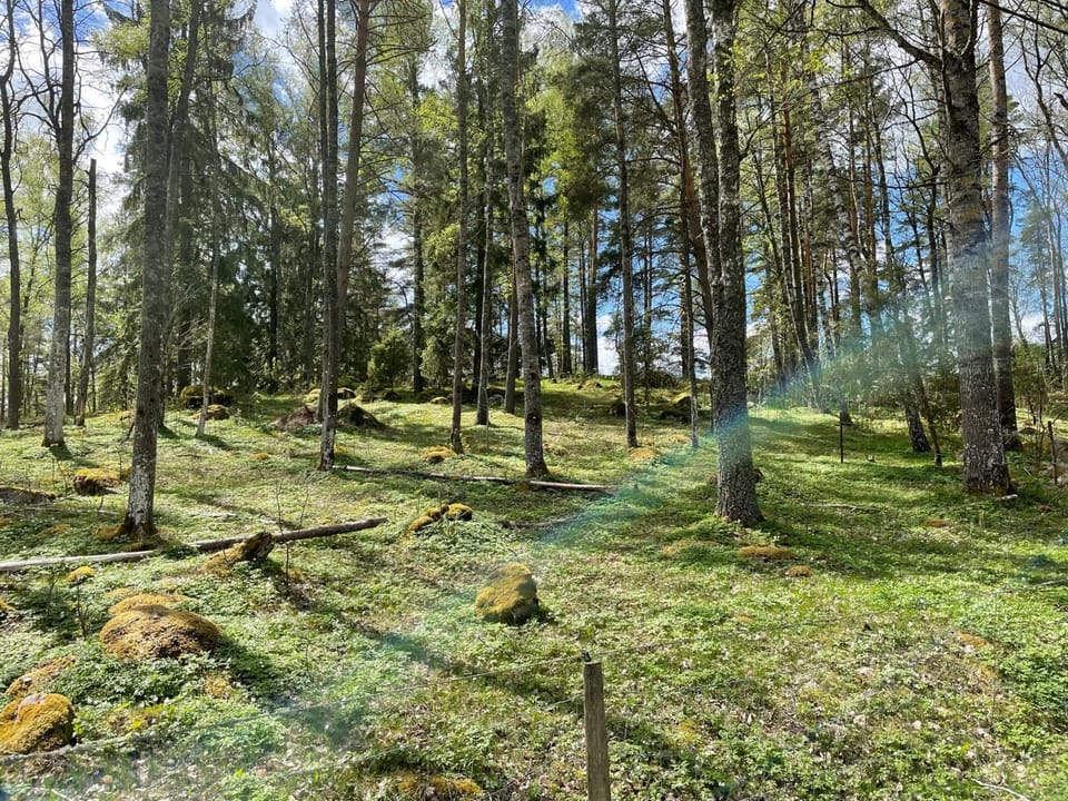 Natural landscape, Hiking