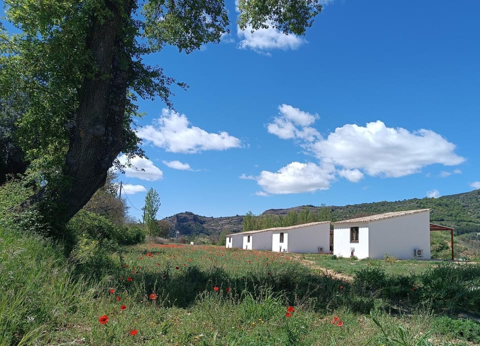 Casas Natura Suites - Finca Rural Apartment in Catalonia