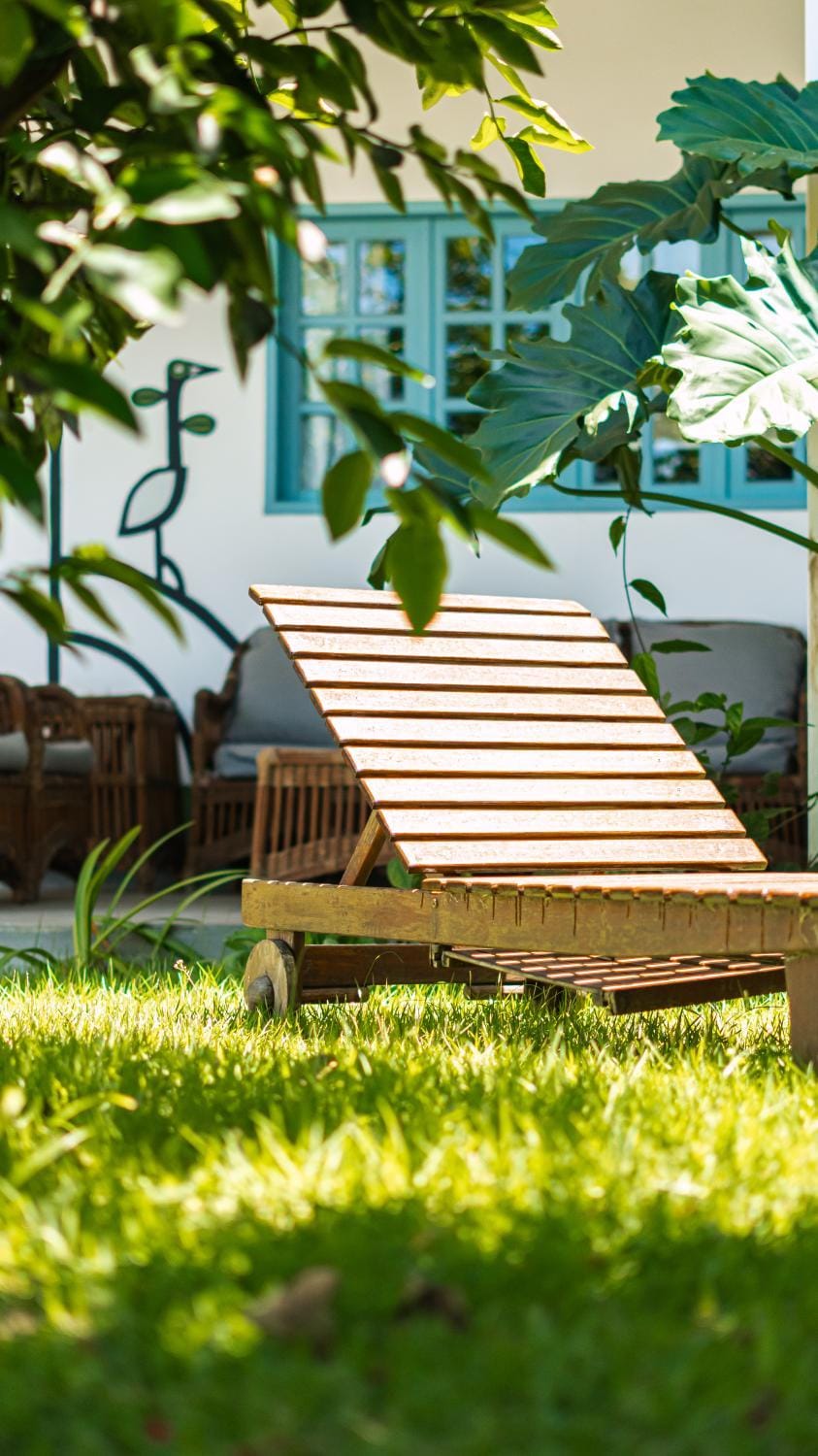 Garden view