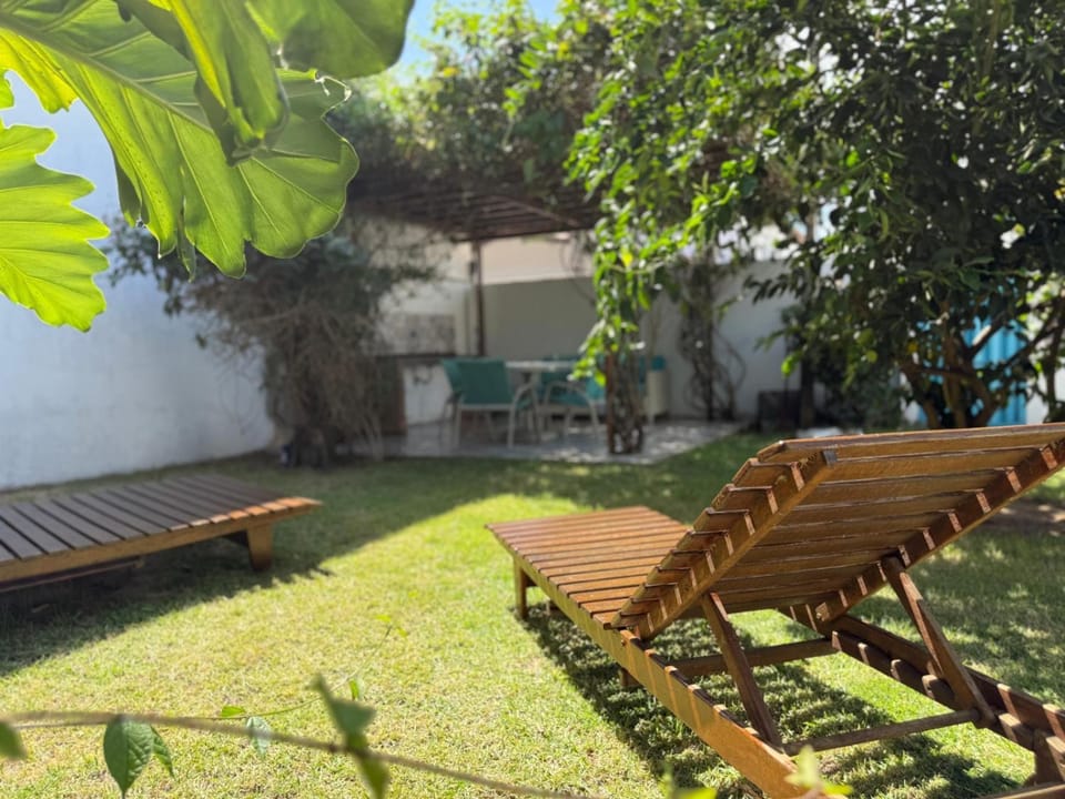 Garden, Garden view, sunbed