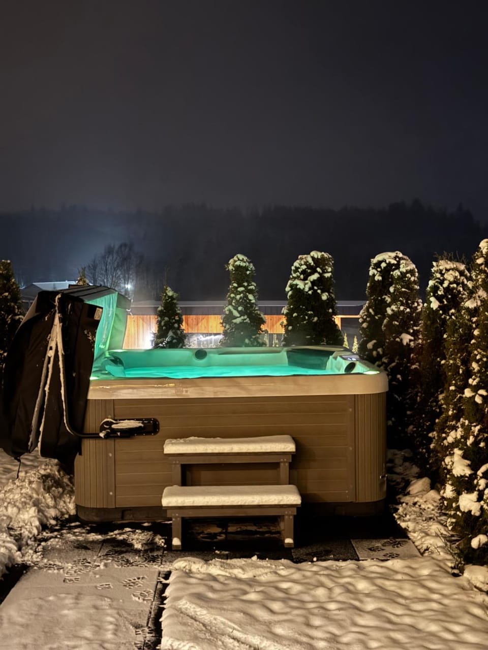 Night, Winter, Hot Tub