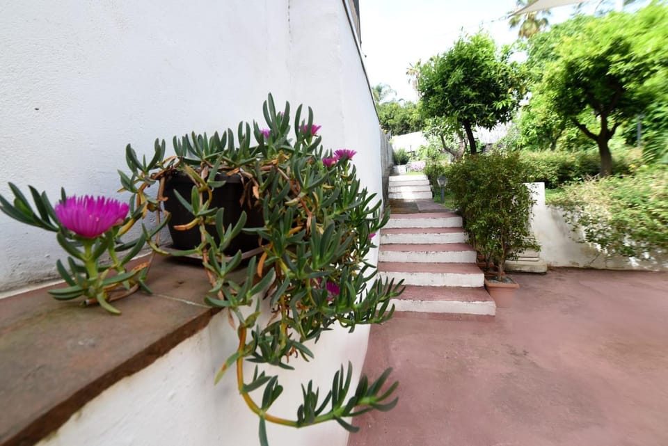 Garden, Garden view