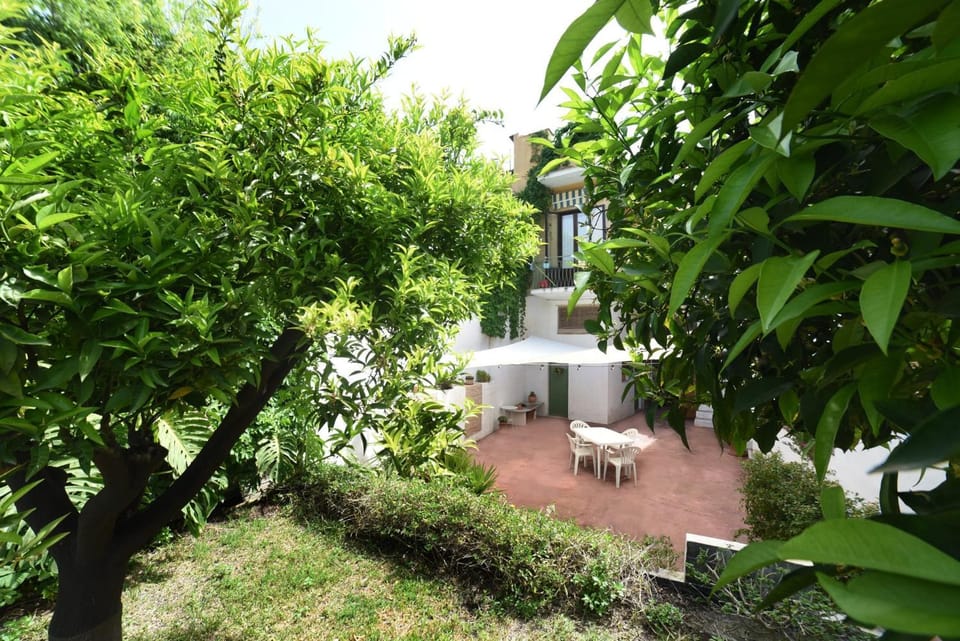 Natural landscape, Garden, Garden view