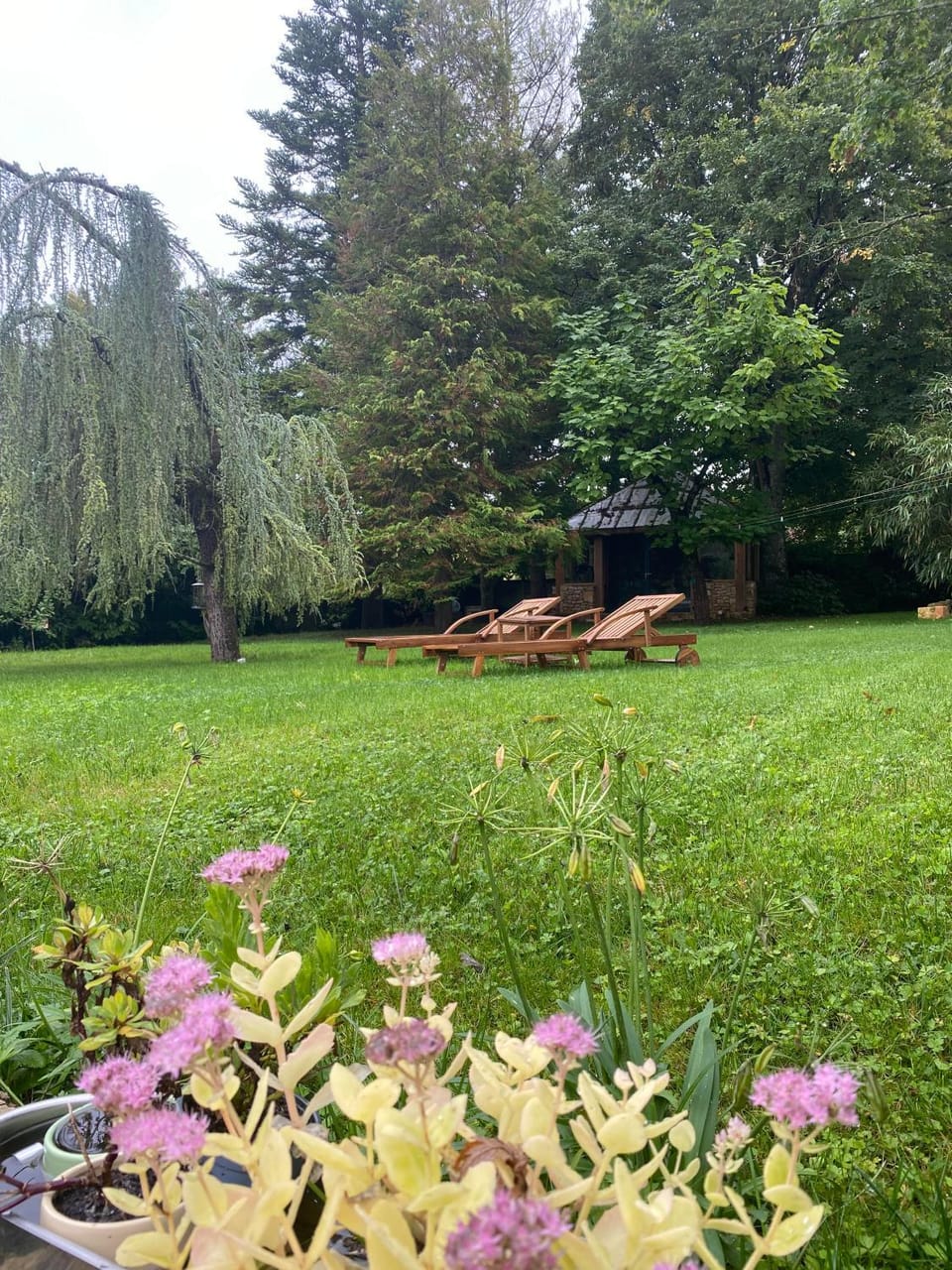 LE PRESBYTERE Bed and Breakfast in Bourgogne-Franche-Comté