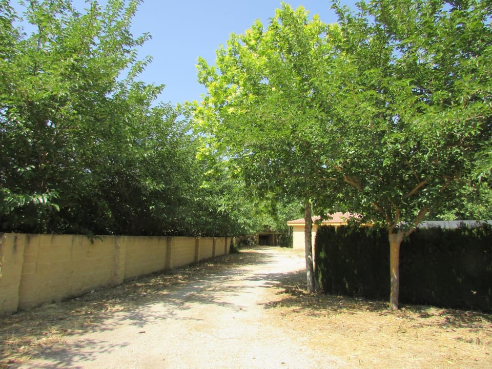 Quiet street view