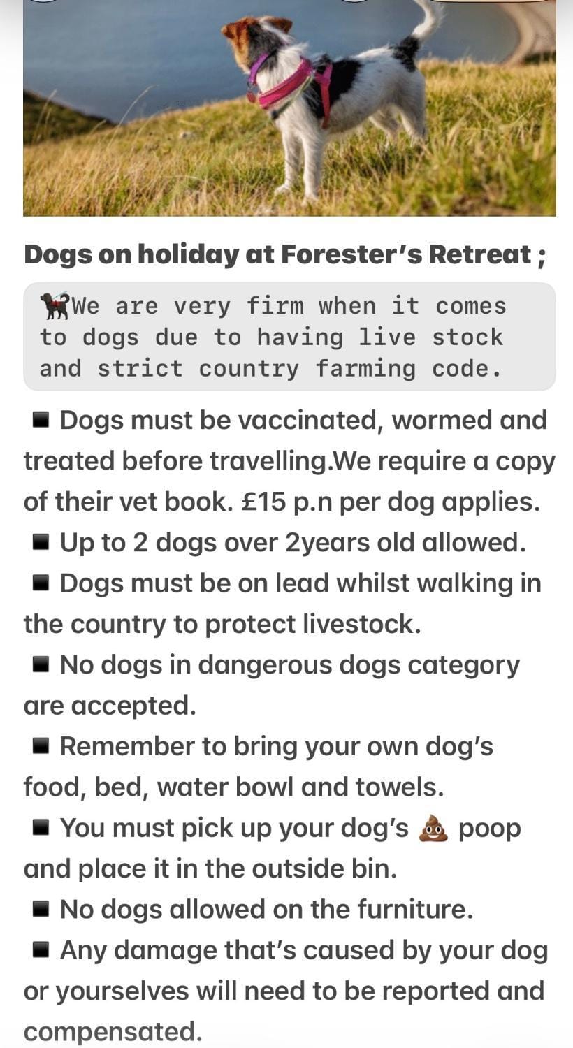 Pets, pet friendly, pet friendly