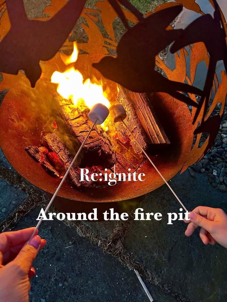 BBQ facilities, fireplace