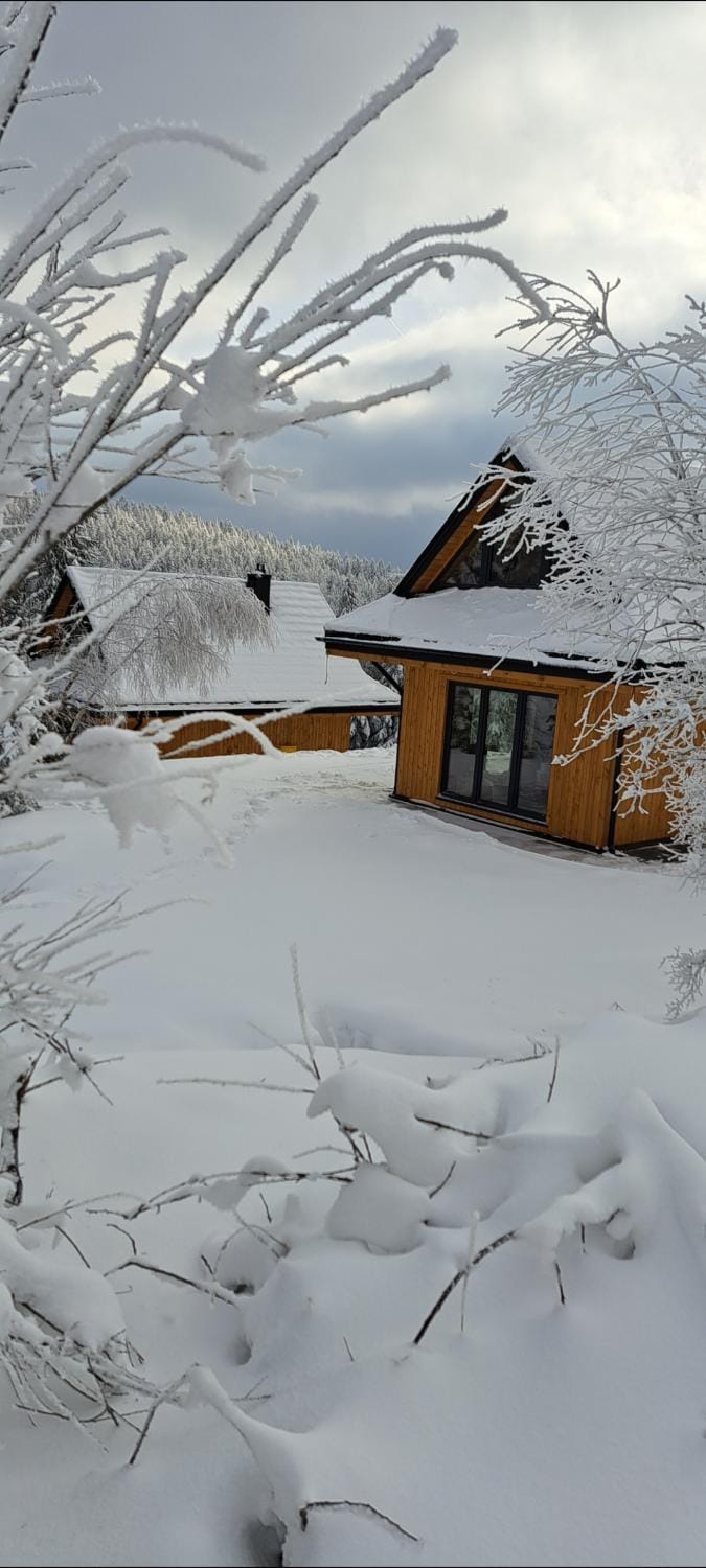 Domki Krynica Chalet in Lesser Poland Voivodeship