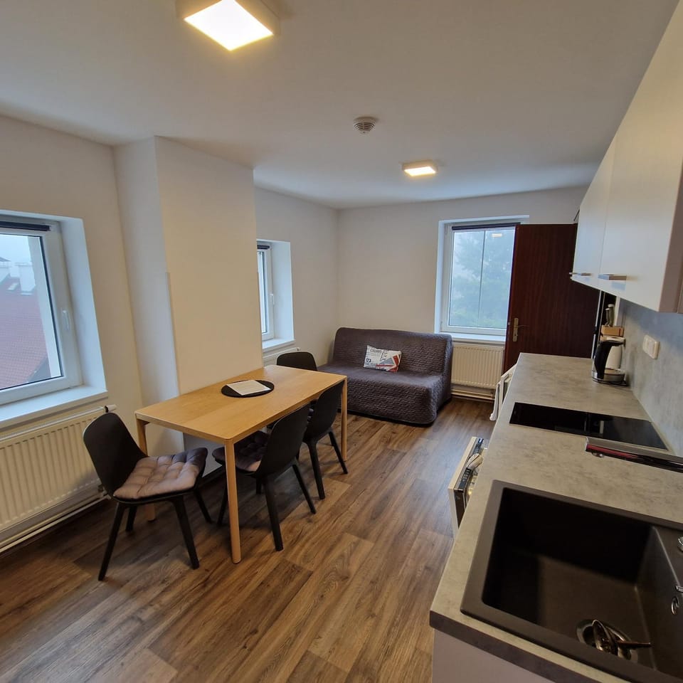 Apartmány RADOST Apartment in Erzgebirgskreis