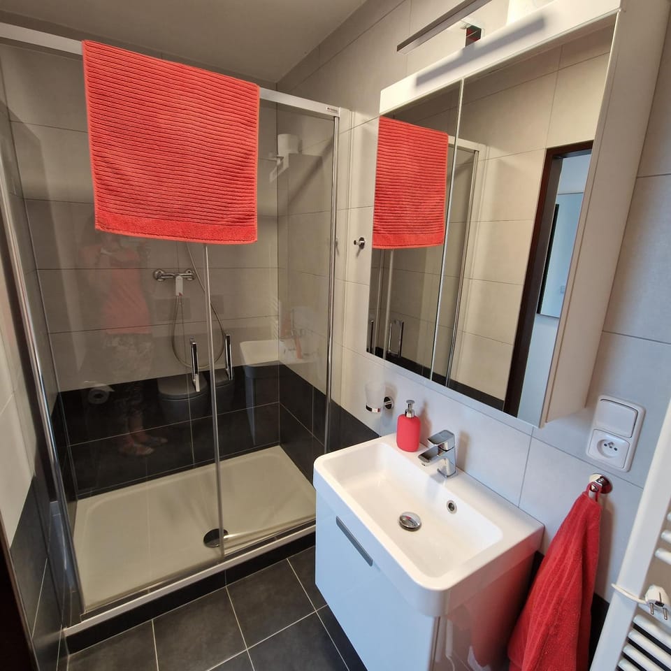 Apartmány RADOST Apartment in Erzgebirgskreis