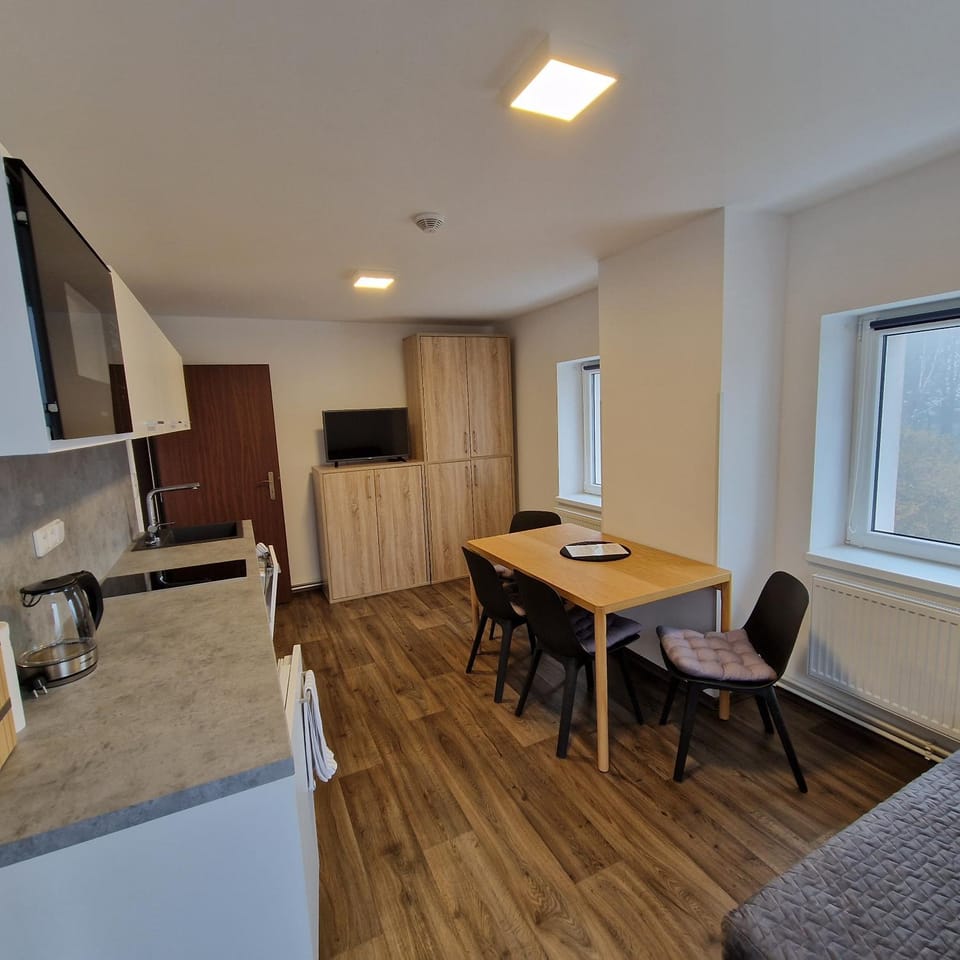 Apartmány RADOST Apartment in Erzgebirgskreis