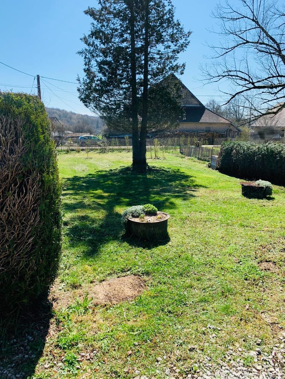 Garden view