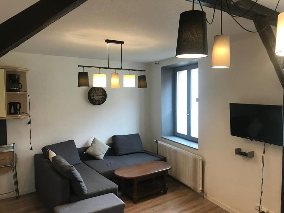 Le gite 3 - Le Château du Lichtenberg Apartment in Sélestat
