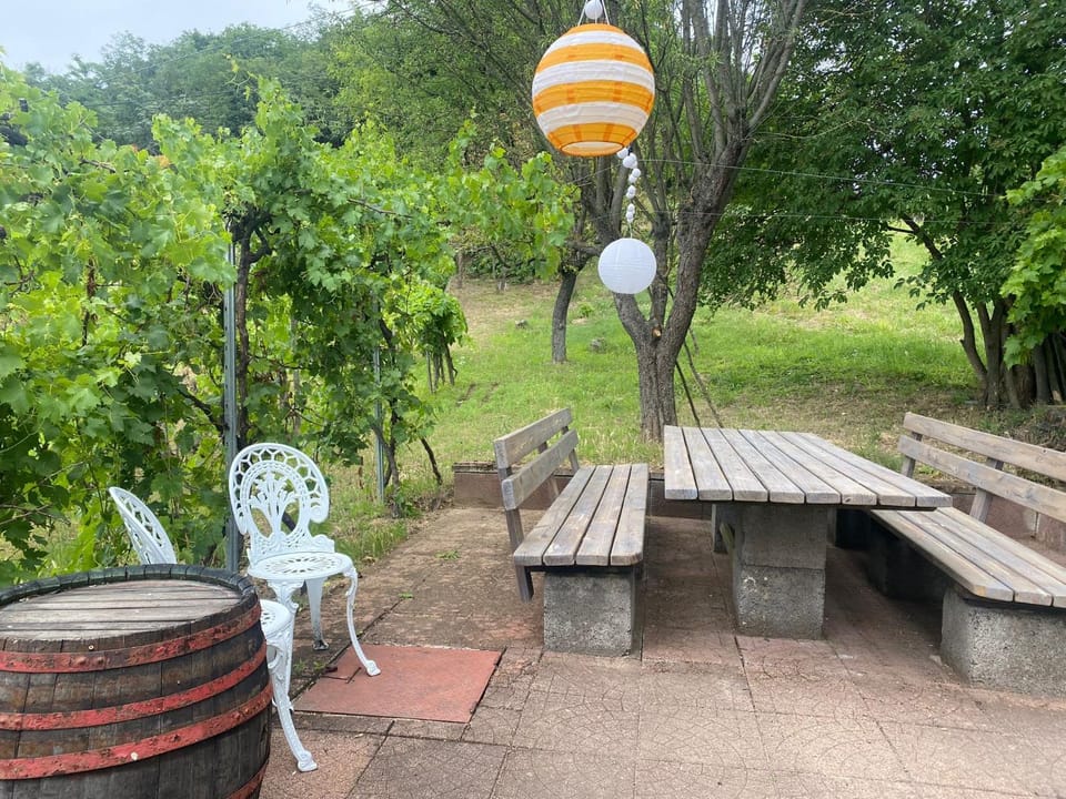 Patio, Garden, Garden view