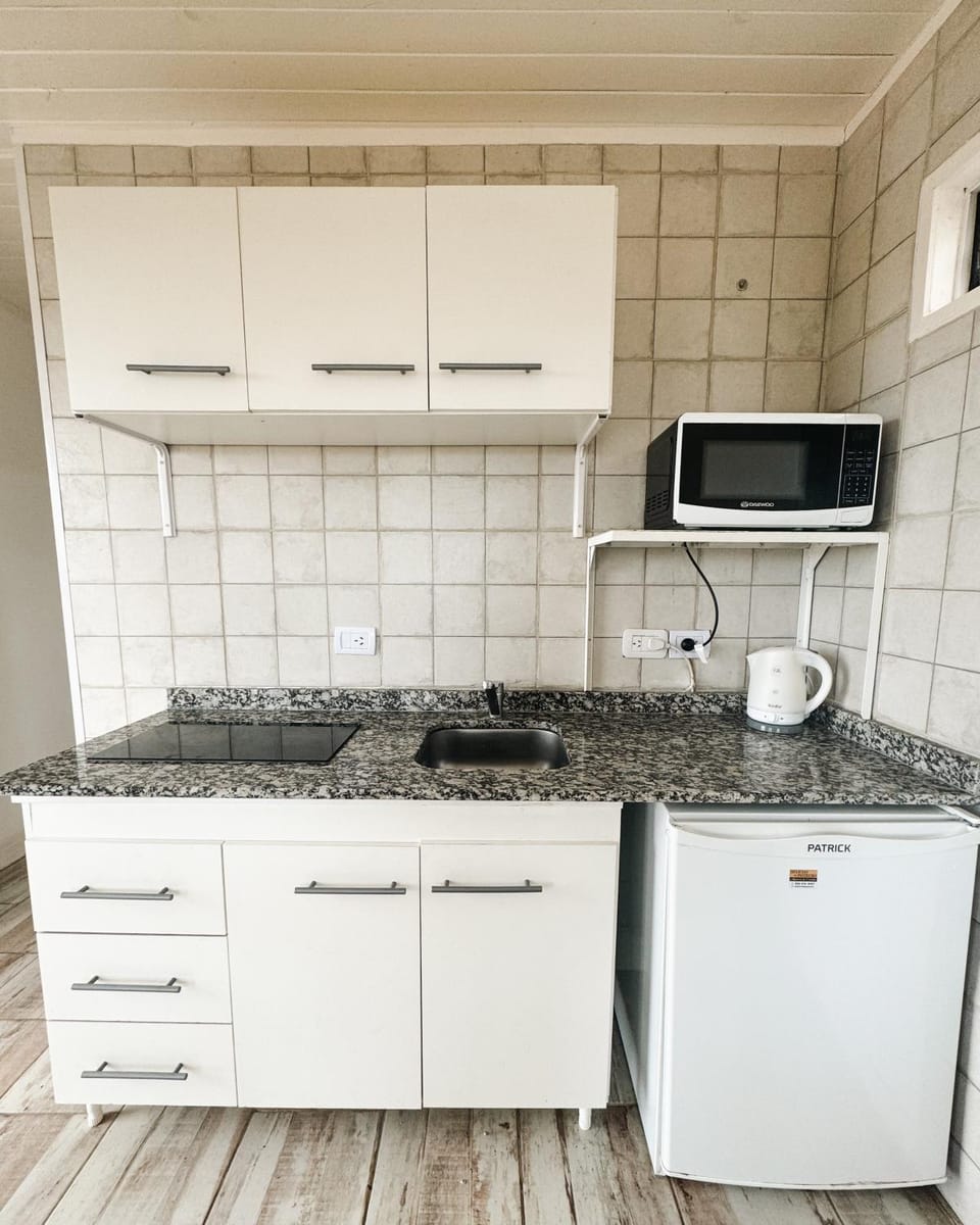 Kitchen or kitchenette, microwave, minibar, stove