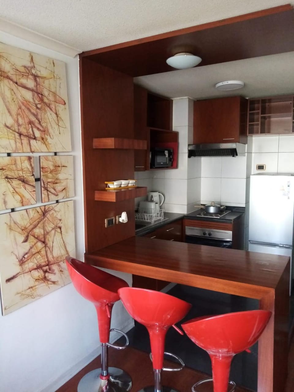HOOME ZPACE & Location Apartment in Santiago