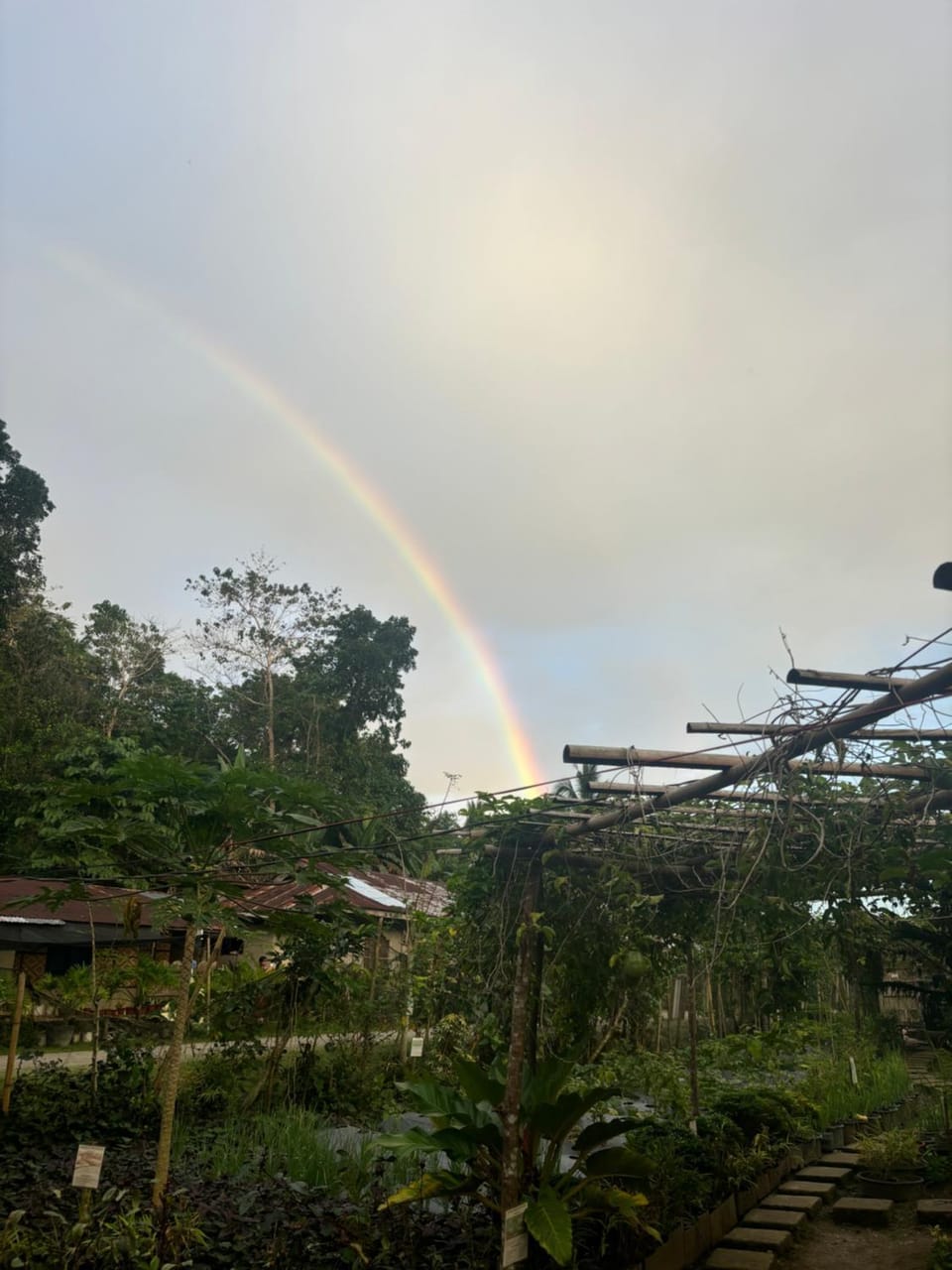 Jolits EcoGarden Hostel Farm Stay in Central Visayas