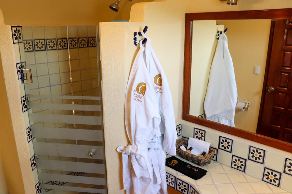 Shower, Bathroom, room service, towels, VIP