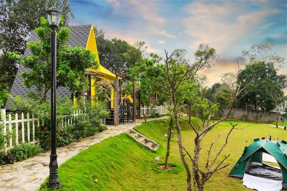 Garden view