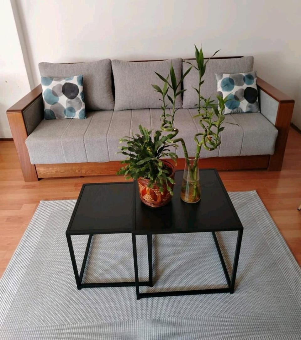 Apartman Oaza Olja Apartment in Belgrade