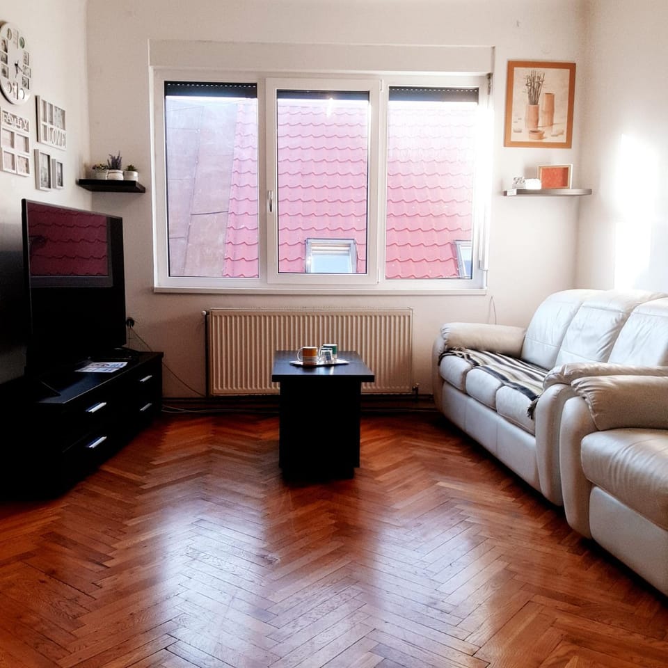 APARTMENT POPS 2 Apartment in Cluj-Napoca